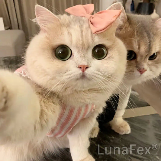 (🔥LAST DAY SALE-90%💝 ) LUNA the Robot Cat 😺 – Perfect Pet Duo for Kids & Family