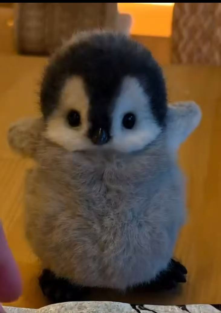 (🔥LAST DAY SALE-90% OFF🔥)My Realistic robot penguin🐧